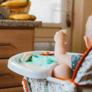 Beikost Webinar Aufzeichnung